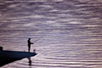 To catch the time (Photo: Želјko Sinobad)